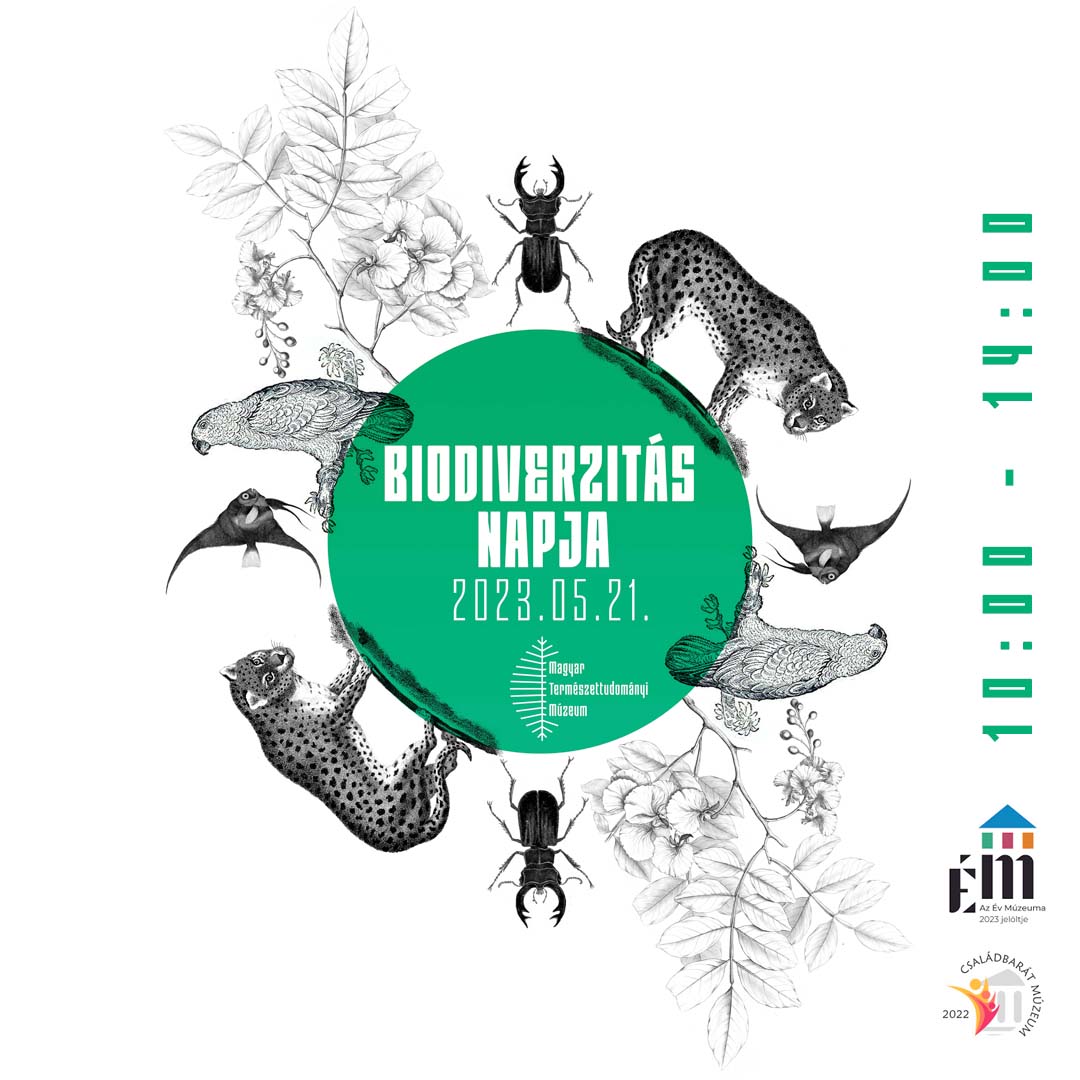 Biodiverzitás Napja az MTM-ben